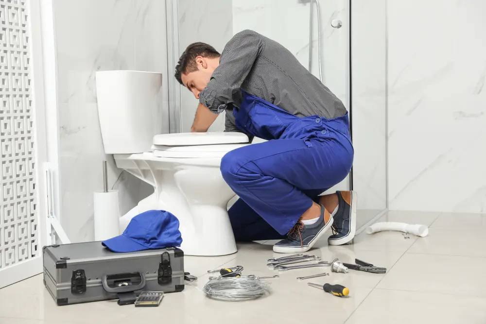 Toilet Installation in North Hobbs